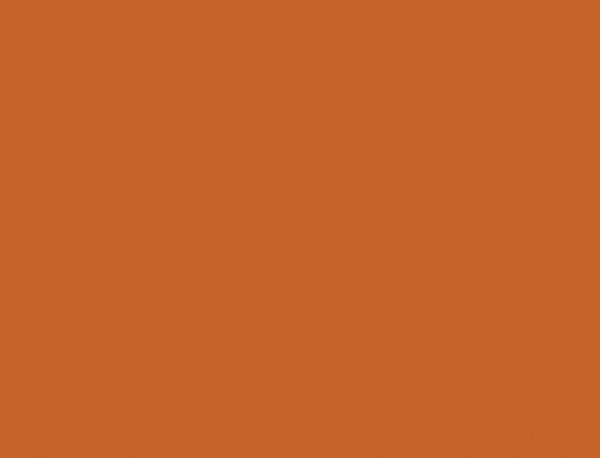 Autumn Maple