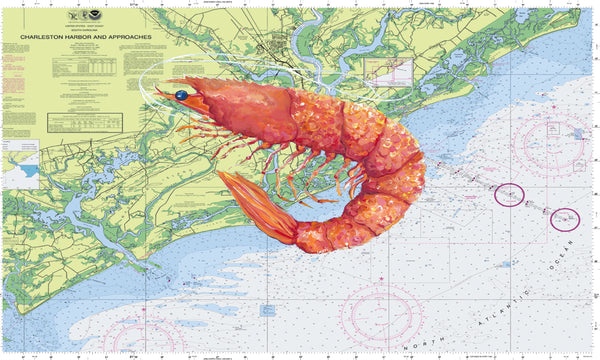 Charleston Harbour Shrimp