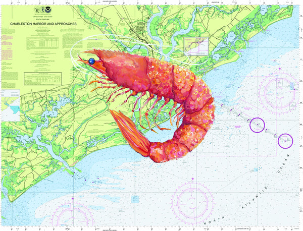 Charleston Harbour Shrimp