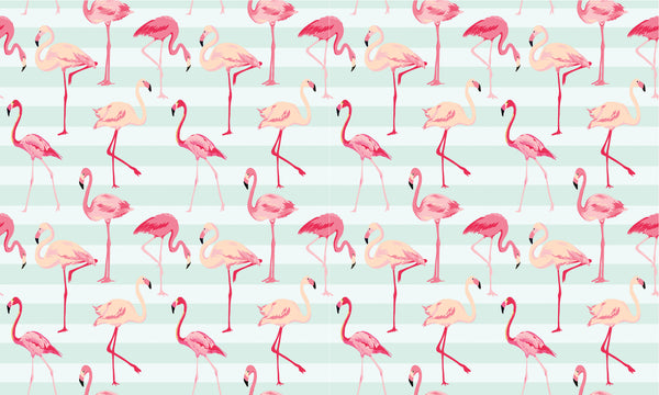 Flamingos