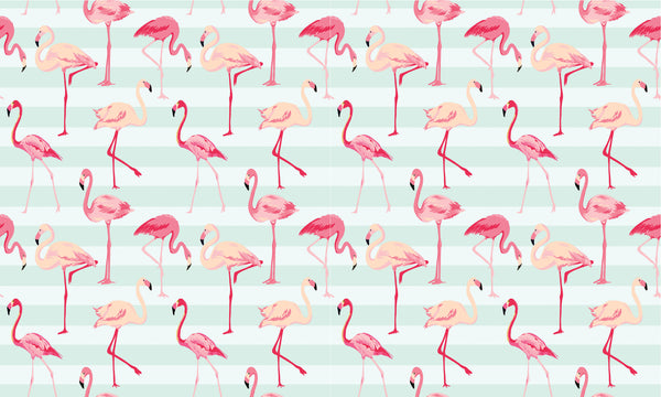 Flamingos