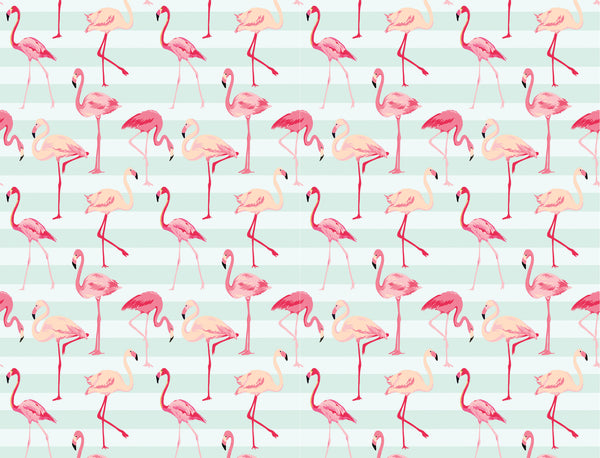 Flamingos