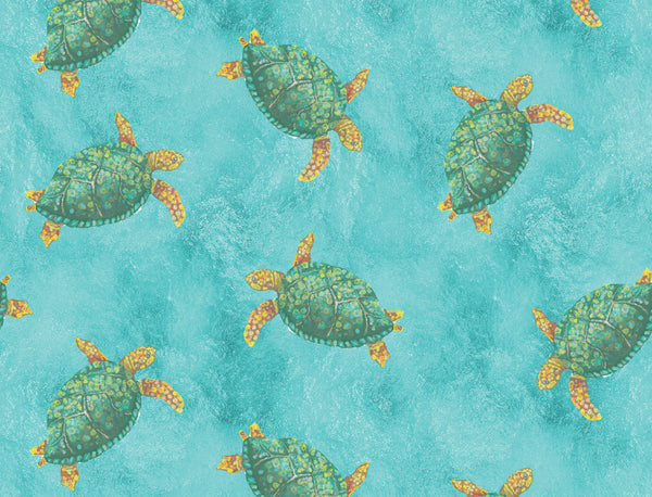 Sea Turtles in Ocean